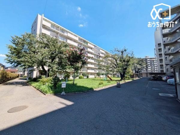 ���n�O�ώʐ^ �����V�h���u�V����v�w�k��14��