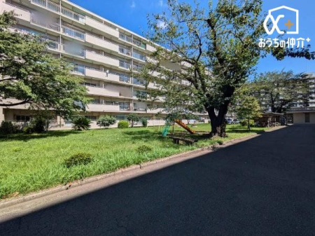 ���̑� �~�n���̌e���̏�