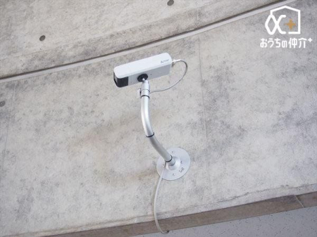 ���̑� ���h�ƃJ������