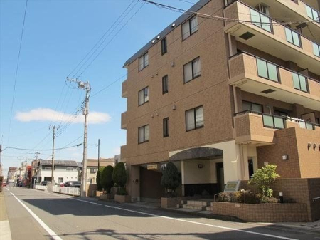 ���̑� ���̑����n