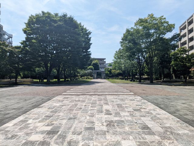 ���̑� �~�n���ɍL�X�Ƃ������ړI�X�y�[�X