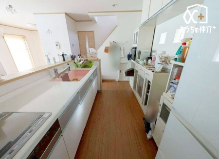 ���̑����� -