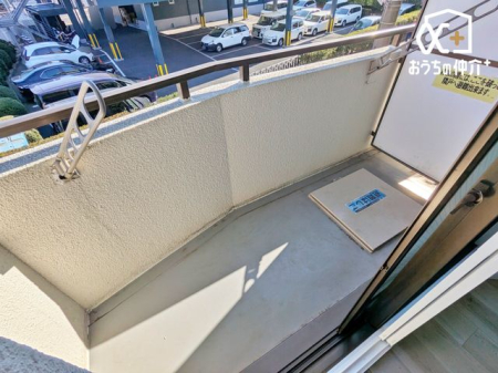 �o���R�j�[ �p�n�ɂȂ�A�������̂̌`���ʔ������邽�߃o���R�j�[���Q�����������܂��B���p�̂͂��������邽�ߐg�����܂��ˁB