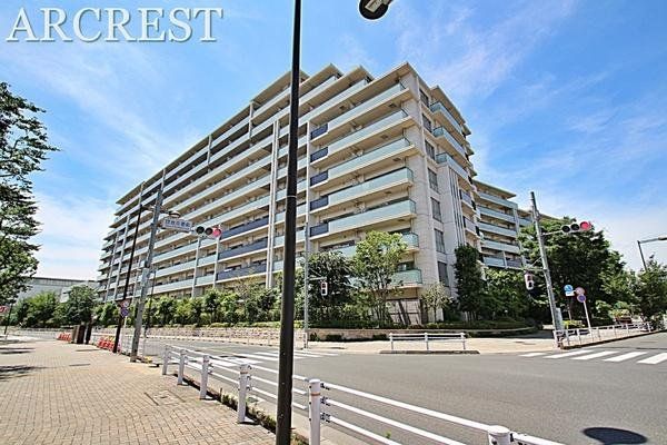 ���̑� ���E���w�Z�k��10������