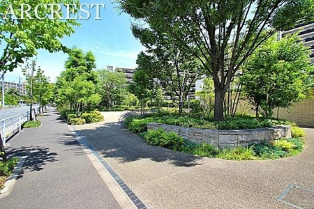 ���̑� ���n�ɂėz�����������m���߂�������