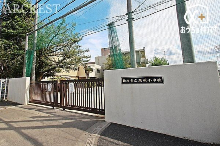 ���ӊ� �V���s���I�����w�Z �k��3���B�u��̓I�Ɋw�Ԏ����̈琬�v �`�l���A���肵�s���ł���̊m����ڎw���ā` 230m