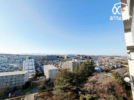 ���̑� ���]