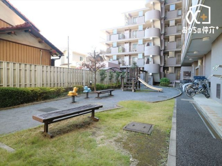 ���̑� �~�n�������̗l�q�B