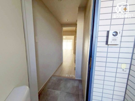 ���� �������C�����悭���Ƒ����}�����錺��