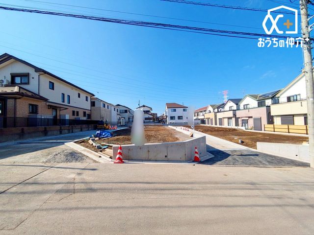 ���n�O�ώʐ^ ���S�̓I�ȗl�q