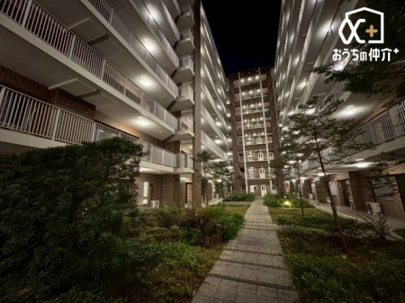 ���n�O�ώʐ^ ��̗l�q