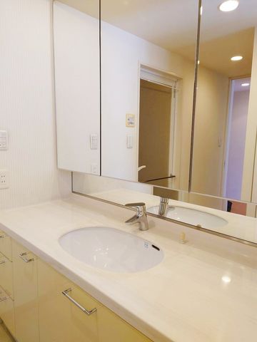 ���ʑ�E���ʏ� �O�ʋ��^�C�v�̐��ʉ��ϑ�ł��B�O�ʋ��^�C�v�̐��ʉ��ϑ�͎g�����肪�ǂ��A�ׂ����������[�ł��܂��B���[������X�b�L���Еt�����ʏ��ł��B