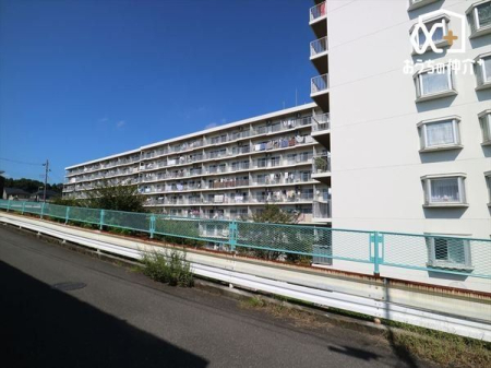 ���̑� ����ɍ����������Ȃ��z����ǍD�ł��B