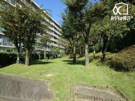 ���̑� �~�n���ɂ��낰����