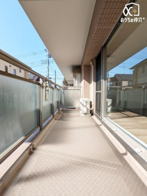 �o���R�j�[ �z������̗ǂ��o���R�j�[�̗l�q�ł��B