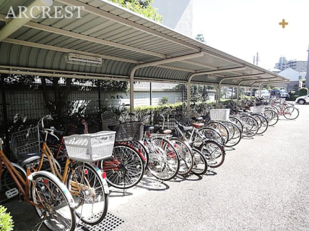 ���̑� ���֏�̗l�q