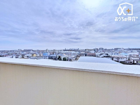 ���̑� ��������ǍD�őu�₩�ȕ����S�n�悢�o���R�j�[�B