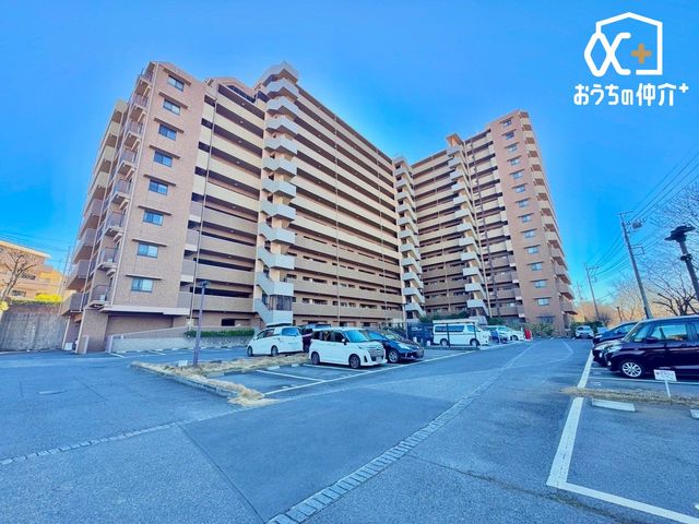 ���n�O�ώʐ^ ������w���k��13���ł�