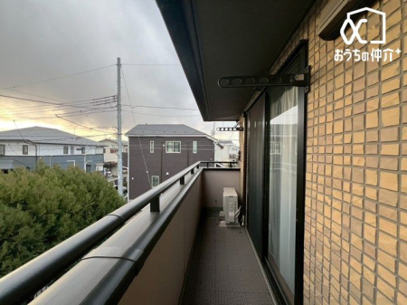 �o���R�j�[ �o���R�j�[�̗l�q