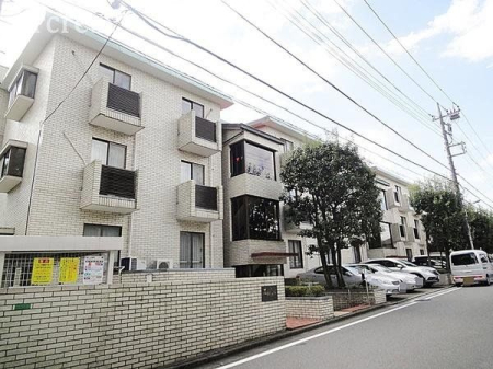 ���̑� ���̑����n