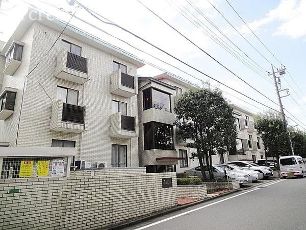 ���̑� ���̑����n