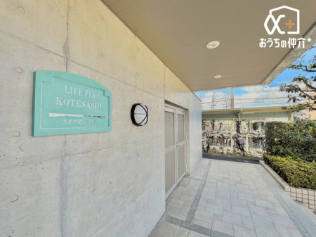 ���̑����� ������E�Z���ǍD�ł�