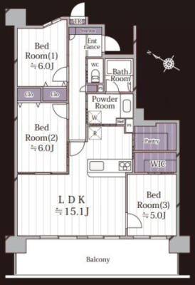  3LDK�{WIC�{�p���g���[