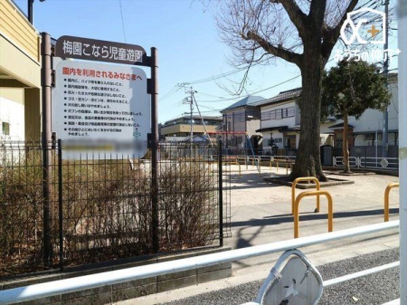 ���ӊ� �~�����Ȃ玙���V�� �k��3���B�����̂Ƃ���R�i���̖؂��A�����Ă��āA�ǂ񂮂�E�����y���߂܂��B 220m