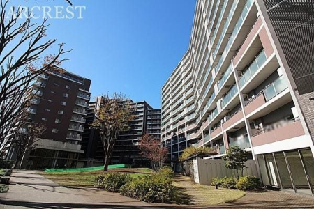 ���̑� �T���ɁA���Ƒ��E���F�l���U�����킹�̏�A���n�������ɂȂ��Ă݂܂��񂩁H���ӊ��ƍ��킹�Ă��ē��v���܂��I