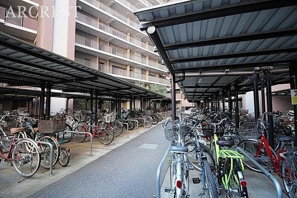 ���̑� ���֏�͉����t���ŉJ�̓��ł��G��邱�ƂȂ����S�ł��B�܂��A�Ă͏����z�˂�������򉻂�����Ă���܂��B