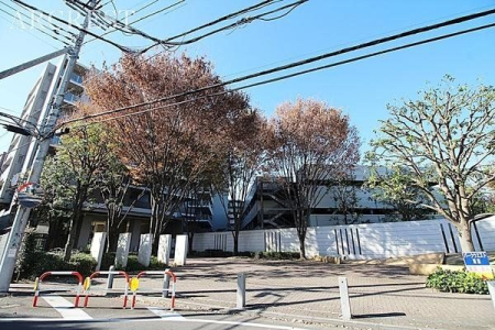 ���̑� ���C�y�ɂ��₢���킹���������B�݂Ȃ��܂���̂��₢���킹���҂����Ă���܂��I