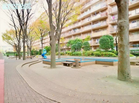 ���̑� �~�n���Ɍ���������܂�