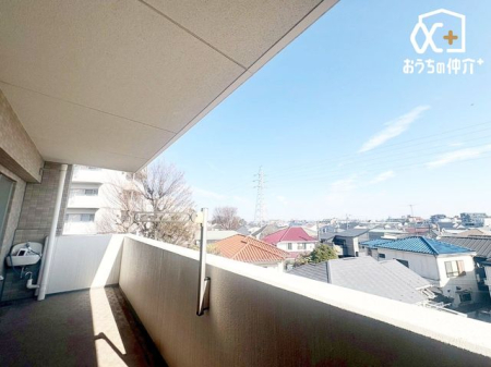 ���̑� �o���R�j�[����̒��]�ł��B