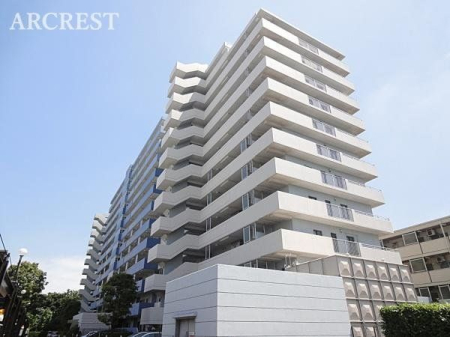 ���̑� ���̑����n