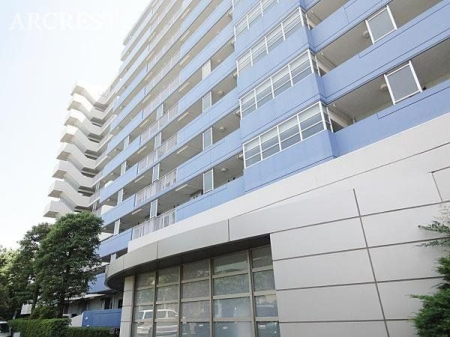 ���̑� ���̑����n