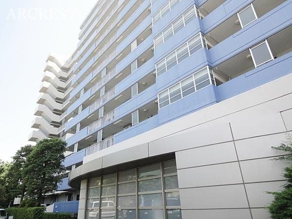 ���̑� ���̑����n