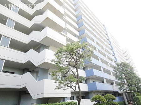 ���̑� ���̑����n