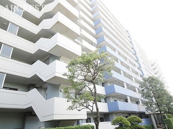 ���̑� ���̑����n