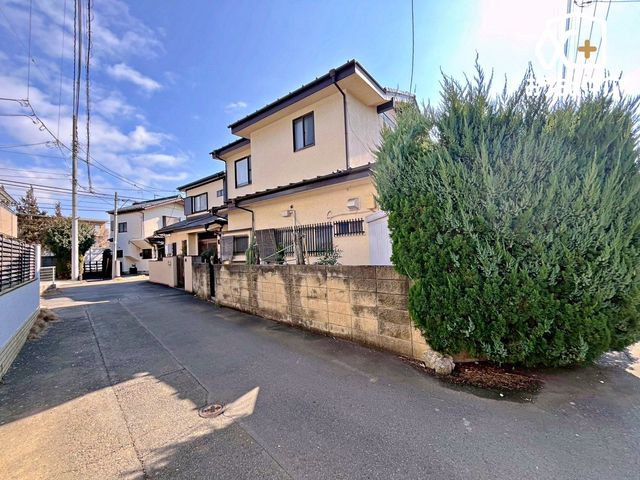 ���n�y�n�ʐ^ -