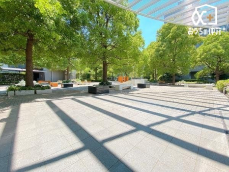 ���̑� �܂�Ō����̂悤�ȕ~�n��