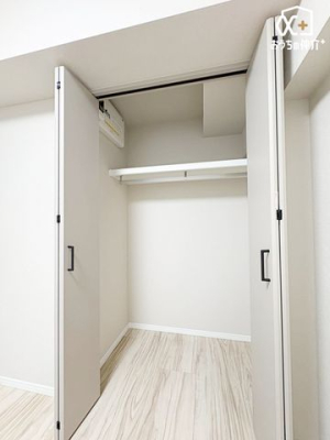 ���[ ���[�̗l�q