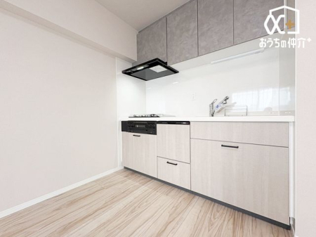 �L�b�`�� �Ǝ��̂͂��ǂ�r���g�C���H���򊣑��@�t��