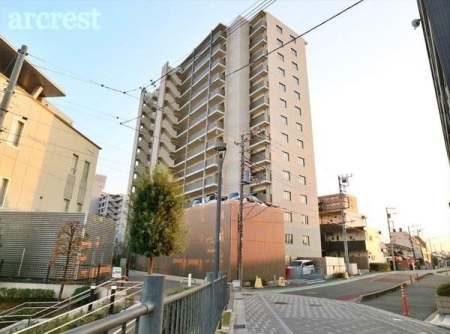 ���̑� ���̑����n