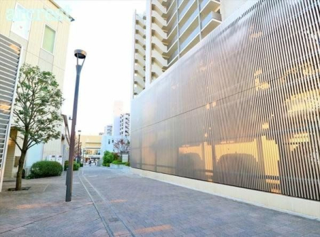 ���̑� ���̑����n