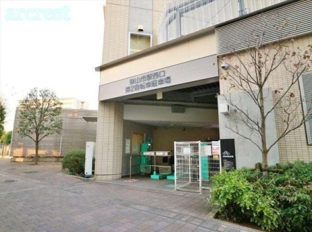 ���̑� ���̑����n