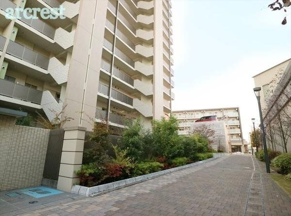 ���̑� ���̑����n