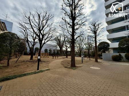 ���̑� �~�n���ɗV��t�̍L��ȍL�ꂪ�������܂��I