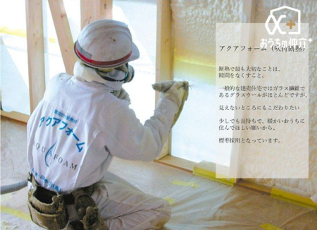 ���̑����� �f�M��