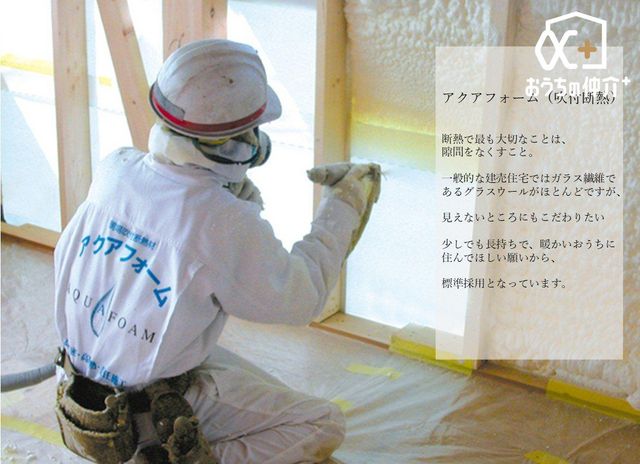 ���̑����� �f�M��