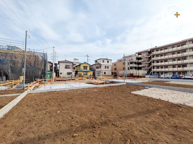 ���̑����� -